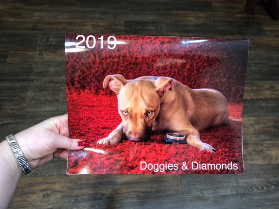 Wilson's Estate Jewelry is collaborating with a local animal rescue to produce the 2019 Doggies and Diamonds calender!